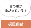 歯の根が曲がっている！ 根屈曲歯