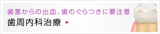 歯茎からの出血、歯のぐらつきに要注意 歯周内科治療